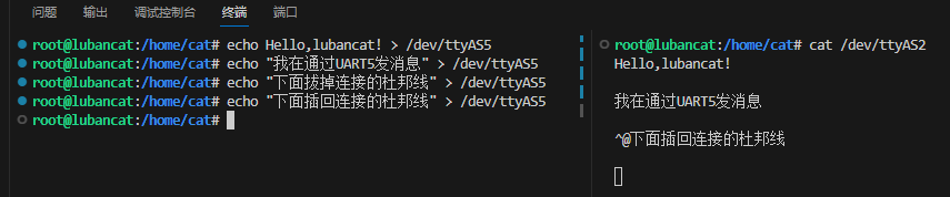 未找到图片