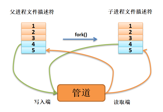 fork()后子进程继承父进程文件描述符