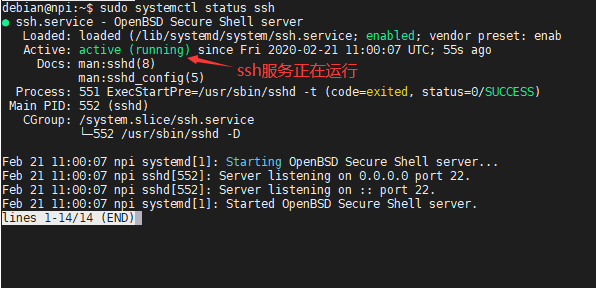 查看ssh服务是否运行