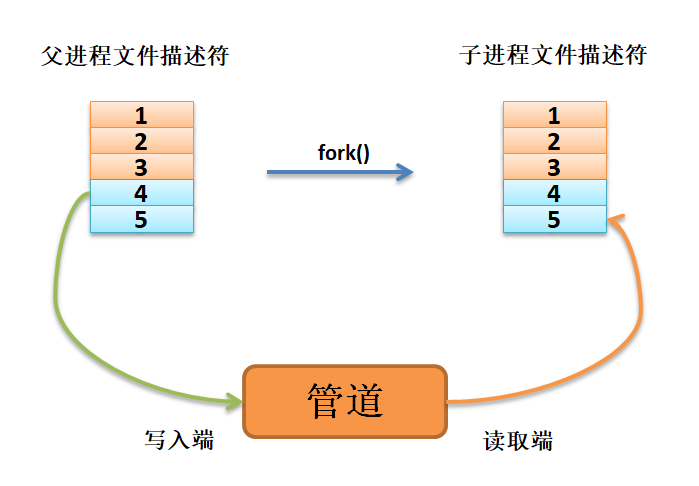 数据从父进程流向子进程