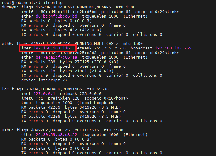 ../../_images/ifconfig.png