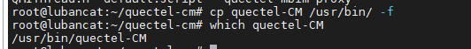 quectel-CM_5.png