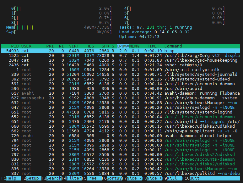 ../../_images/htop.png