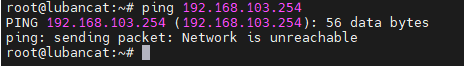 ../../_images/ping-false-gateway.png