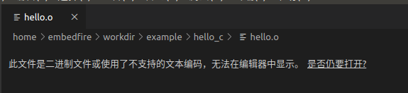 直接使用VS Code打开*.o文件的提示