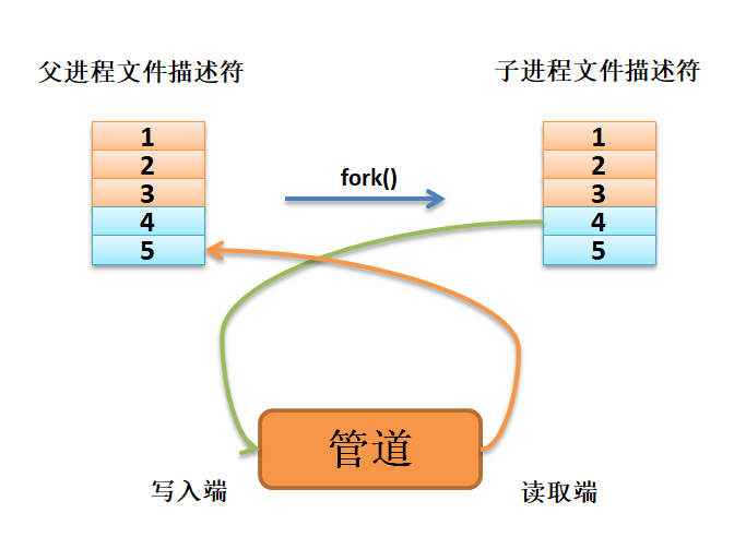 数据从子进程流向父进程