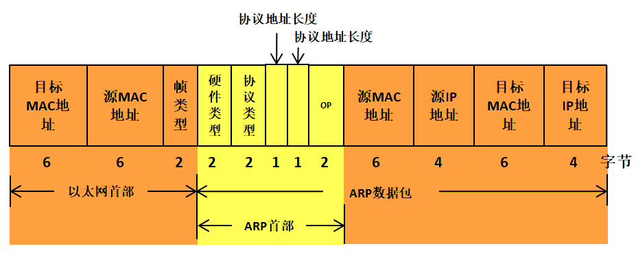 图 10‑5ARP报文